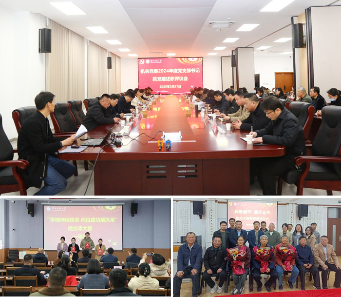 dfab1c58041c475bb871cca36cdacb69.jpg